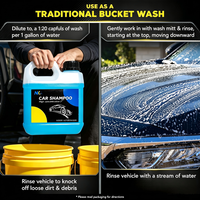 Shampooing de lavage automobile professionnel 500 ml à revêtement céramique, parfum citron, mousse haute, pH neutre, protection de peinture sans rayures