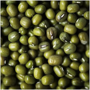 Mung <b>beans</b> price in wholesale green mung <b>beans</b> year green <b>bean</b> - Product Image 3