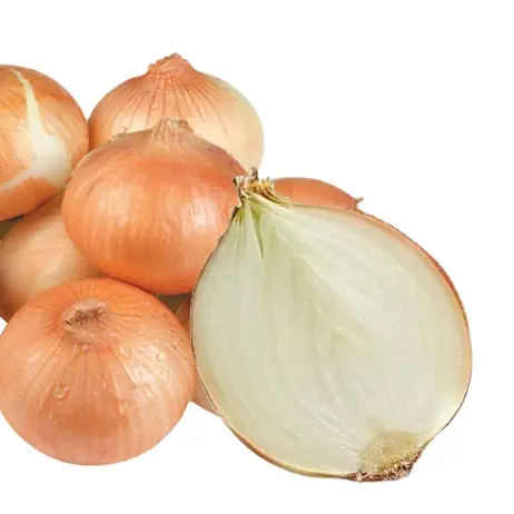 [HOT] FRESH ONION 100% ORIGINAL NATURAL WITH COMPETITIVE PRICE FOR WHOLESALER/ HIGH QUALITY FOR EXPORT STANDARD 2023