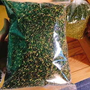 TÉ CORAZÓN DE LOTO TOSTADO SECO DE ALTA CALIDAD en VIETNAM // PRECIO BARATO - Product Image 2