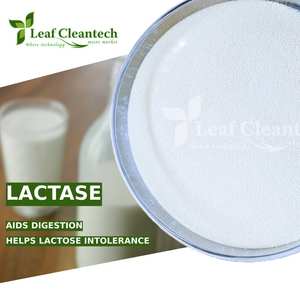 เอนไซม์แลคเตสสำหรับผลิตภัณฑ์ที่ปราศจากแลคโตส-ผลิตภัณฑ์เสริมอาหารและการแปรรูปอาหารจากอินเดีย | เอนไซม์อาหาร | - Product Image 3