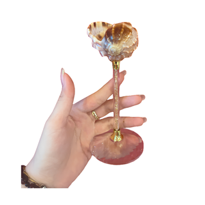 Handmade Vietnam Natural Nautilus Seashell Wine Glass Crafted with Genuine Seashell for Home Decoration, Gifts and Table Display - Product Image 4