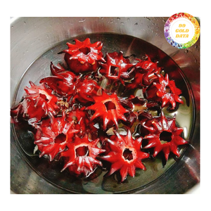 ดอกชบาแห้งราคาส่ง ลดราคาพิเศษ สำหรับผู้นำเข้าทั่วโลก ซื้อจำนวนมาก จัดหาโดยตรง - Product Image 2