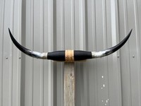 Paire de cornes de taureau polies à la main, de 29 et 35 pouces de large, au toucher naturel, forme authentique, style animalier, pour décoration intérieure