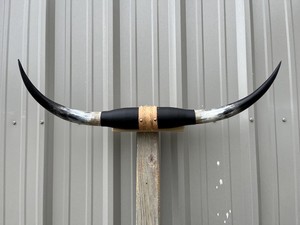Par de Cuernos de Toro Pulidos, Hechos a Mano, de 29 a 35 Pulgadas de Ancho, Estilo Animal, para Decoración del Hogar o Colección - Product Image 3