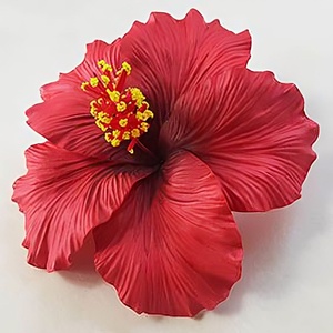 อุปกรณ์เสริมแฟชั่นขายดีตลอดกาลพิมพ์ลายชบาฮาวายโฟม EVA แฮนด์เมดพร้อมลายสักพิเศษ/ไม่เหมือนใคร - Product Image 5