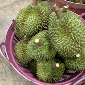 ทุเรียนสดมอนธง เนื้อเนียนนุ่ม รสหวานอร่อย ไดลี่กรีน ไทยแลนด์ - Product Image 4