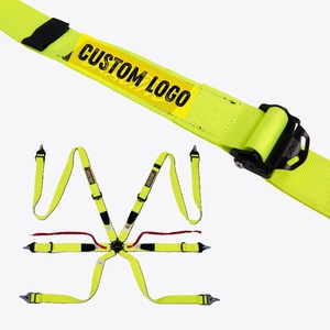 สายรัดนิรภัยสำหรับรถแข่ง Track Ready FIA 8853 2016 TBRACING แบรนด์ส่วนตัว ขายส่ง ตัวปรับเหล็กขนาด 2 นิ้ว และสายรัดแบบปลดเร็ว - Product Image 1