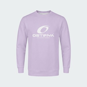 เสื้อสเวตเชิ้ตผู้ชาย OEM สีพื้น ไซส์ใหญ่ ทรงปกติ ผ้าฝ้าย 100% เสื้อผ้าสตรีทแวร์ฤดูหนาว แขนยาว คอกลม แห้งเร็ว - Product Image 2