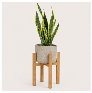 Support de Plante en Bois Moderne Finition Artisanale Support de Pot en Bois Massif pour Décoration Intérieure et Présentation sur Balcon Pot de Fleurs Écologique - Product Image 6