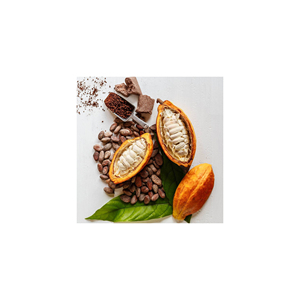 Fèves de cacao Ariba, fèves de cacao brutes séchées, fèves de cacao fermentées, fèves de cacao vertes, poids, origine, type, variété, taille, qualité, ISO, lieu, modèle - Product Image 4