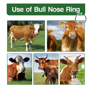 Anillo Nasal para Ganado, Diseño 2026, Venta al Por Mayor, Reutilizable, Manual, de Acero Inoxidable, para Vacas, Bueyes y Otros Animales Grandes, de la Mejor Calidad - Product Image 6