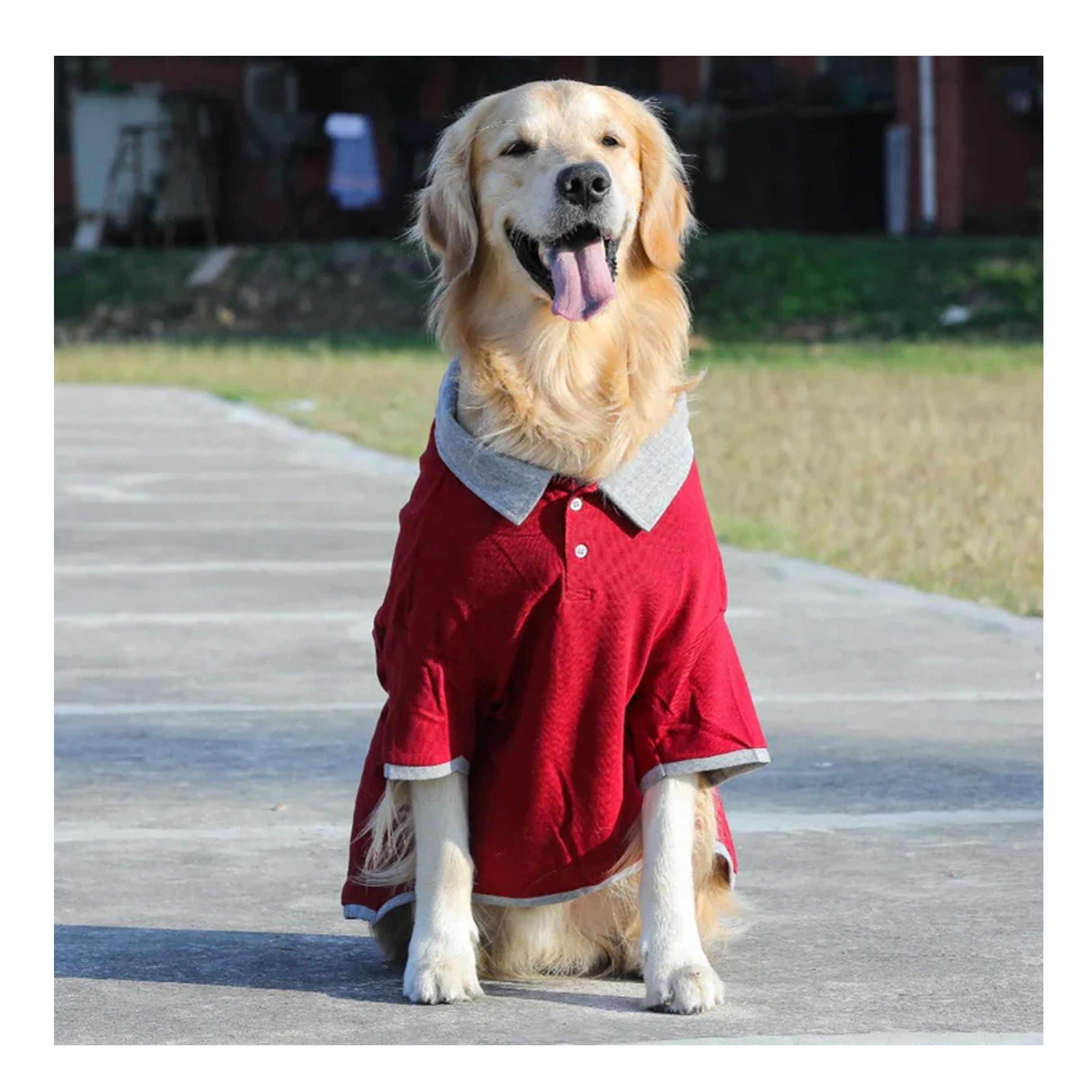 สีน้ำตาลแดง/เทา