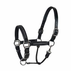 <b>Empty</b> Channel Horse Halter Genuine Leather Padded Adjustable Headcollar with Solid Brass Hardware Premium Equestrian Tack - Product Image 1