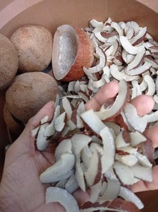 NOIX DE COCO SÉCHÉE HAUTE EN GRAISSES 65% MIN, EFFILÉE ET EN FLOQUES - Product Image 1
