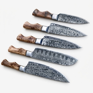 Juego de Cuchillos de Chef de Acero de Damasco, 5 Piezas, Mango de Madera de Fresno Natural, Juego de Cuchillos de Cocina Profesionales, Directo de Fábrica - Product Image 1