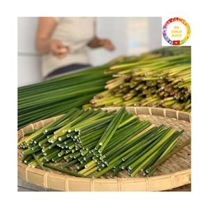Natural Grass <b>Drinking</b> Straws | Eco Friendly Compostable | Bulk Wholesale | For Summer Beverage Beach <b>Bar</b> - Product Image 3