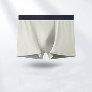 Men Sports <b>Boxer</b> Briefs Quick Dry Compression Gym Underwear OEM Supplier Wholesale Manufacturer Bulk - Product Image 5
