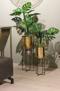Black Iron PE Coated Floor Standing <b>Plant</b> Stand for Home & Garden - Product Image 6