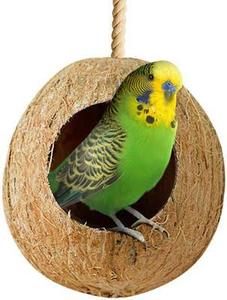 Venta al por mayor de nidos colgantes para pájaros de coco natural, gran suministro desde Vietnam - Product Image 5