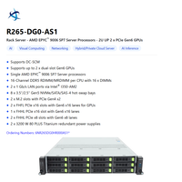 Serveur Rack 2U à Socket Unique R265 ZG0 Z33 DG0 AS1 AMD EPYC 9006 DDR5 avec 12/8 Baies de Disques et Accélération GPU pour Entreprises