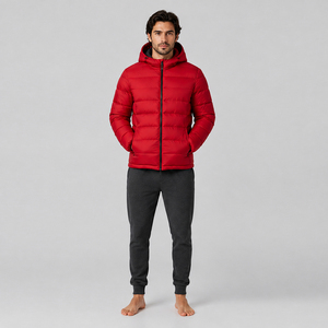 Veste d'hiver légère et chaude pour homme, style streetwear, matelassée, doublée, résistante à l'eau, entièrement rembourrée, avec capuche - Product Image 1