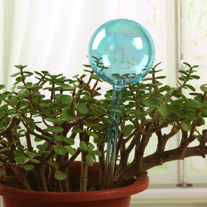 Globe en verre fait main en forme de cœur d'oiseau, <span class=keywords><strong>arroseur</strong></span> <span class=keywords><strong>automatique</strong></span> pour plantes d'<span class=keywords><strong>intérieur</strong></span> en pot - Product Image 4