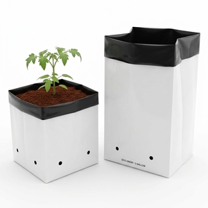 Wholesale Reusable Plastic Grow Bags for Hydroponics Plants Nursery Seedling Raising <b>Planter</b> for Plant Growth - Product Image 5