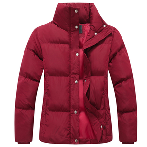 Veste d'hiver rembourrée en coton de haute qualité pour femmes, imperméable, col montant, vestes matelassées pour femmes - Product Image 1