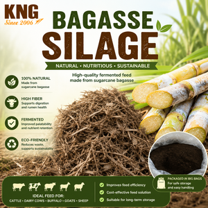 Alimento fermentado de bagazo de caña de azúcar KNG para ganado, vacas lecheras, búfalos, cabras y ovejas, natural, rico en fibra y ecológico. - Product Image 5