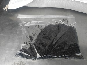 Graines de chia lyophilisées de qualité supérieure pour boissons et recettes alimentaires Durée de conservation de 24 mois Graines de chia biologiques du Vietnam - Product Image 2
