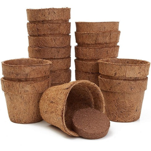 Pot de culture biodégradable en fibre de coco pour semis, plateau de germination en tourbe de coco naturelle pour serre et jardin, 4 pouces - Product Image 3