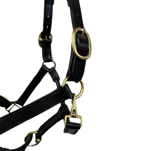 Cabestro Ajustable de Alta Calidad para Caballos, Collar de Cuero Personalizado para Carreras, Productos Ecuestres, Precio Económico, Mejores Exportaciones - Product Image 4