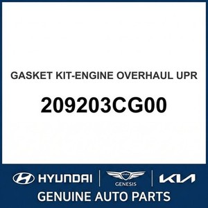 ซานตาเฟ่ ปะเก็นและซีลใหม่ 209203CG00 - Product Image 1