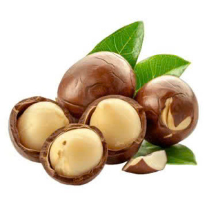 Nueces de macadamia tostadas con cáscara, calidad premium, venta al por mayor directa de fábrica, de Vietnam - Product Image 3