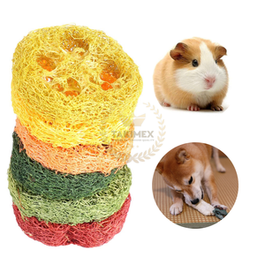 2024 Edición de alta calidad Luffa Natural Safe Loofah Chew Toy Juguete sostenible para mascotas del fabricante de Vietnam TAKIMEX Factory - Product Image 1