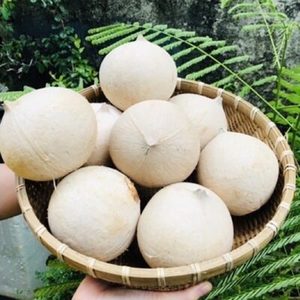 มะพร้าวขัดเงาเขตร้อนแบบพรีเมี่ยม | สินค้าจากเวียดนาม | มีฉลากเกาหลีและกล่องขายปลีกจำหน่ายสำหรับผู้นำเข้า - Product Image 2
