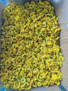 ดอกเบญจมาศแห้ง ดอกเดซี่แห้ง ชาสมุนไพรออร์แกนิก ดอกเบญจมาศแห้ง นำเข้าจากเวียดนาม ปี 2026 - Product Image 6