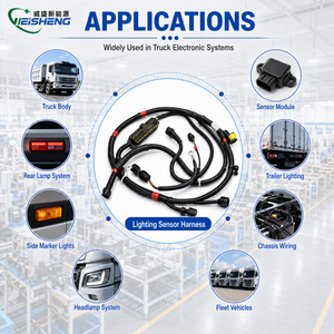 Aangepaste vrachtwagenbedrading, elektrische verlichting, sensorkabel, OEM, ODM - Product Image 2