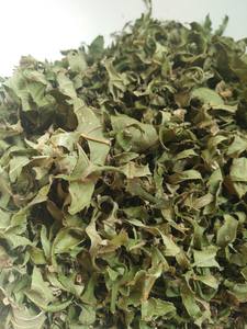 Hojas de Guayaba Secas Premium – Naturales, Saludables, de Grado Premium para Té y Uso Herbal // Mr.Tom - Product Image 4