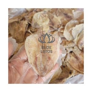 PRODUIT PHARE 2026 Calamars séchés en rouleaux pour collations rapides et décorations culinaires, pur, frais, propre, sûr, qualité standardisée - Product Image 1