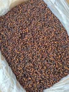 Clous de girofle, épices Garam Masala, mélange d'épices indiennes, origine indonésienne - Product Image 2