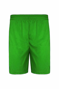 Nouveaux shorts de plage tissés sur mesure grande taille pour hommes, respirants, séchage rapide, coupe ajustée, 100 % polyester, taille élastique, pour la natation et les sports d'été - Product Image 5