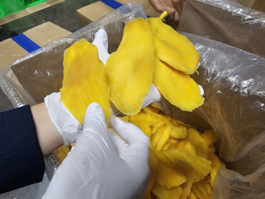 Tranches de mangue séchée premium pour l'exportation – Mangue séchée naturelle et sucrée - Product Image 3