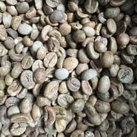 Café Vert Robusta du Vietnam Taille 13 2% Café des Hautes Plages Grains de café non torréfiés Vente en Gros Exportation Fournisseur de café au goût intense