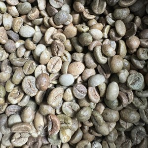 Vietnam Robusta Green Coffee Beans Size 13 Clean Vietnamese Unroasted coffee beans Bulk Export Espresso <b>Blend</b> Coffee Supplier - Product Image 3