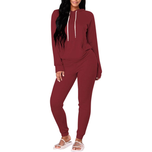 Ensemble de survêtement d'hiver pour femmes, à capuche, en polaire, manches longues, vêtements de sport - Product Image 5