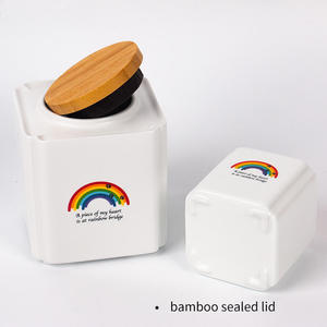 Square Ceramic Pet Urn with Bamboo Lid Rainbow Design for Dogs Airtight <b>Memorial</b> <b>Box</b> - Product Image 1