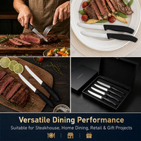 Hete Basis Keuken Steakmessenset 6 Stuks Plastic Handvat Roestvrijstalen Lemmet Steakmes Met Zwarte PP Handvat