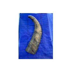 Pointes de corne de buffle naturelles brutes de haute qualité, blanches et brunes, écologiques, imitation antique, décoration artistique et de collection, Noël - Product Image 4